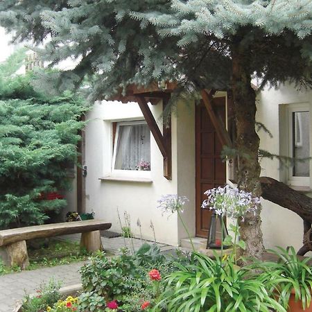 Lovely Home In Heideblick With Kitchen Langengrassau Zewnętrze zdjęcie