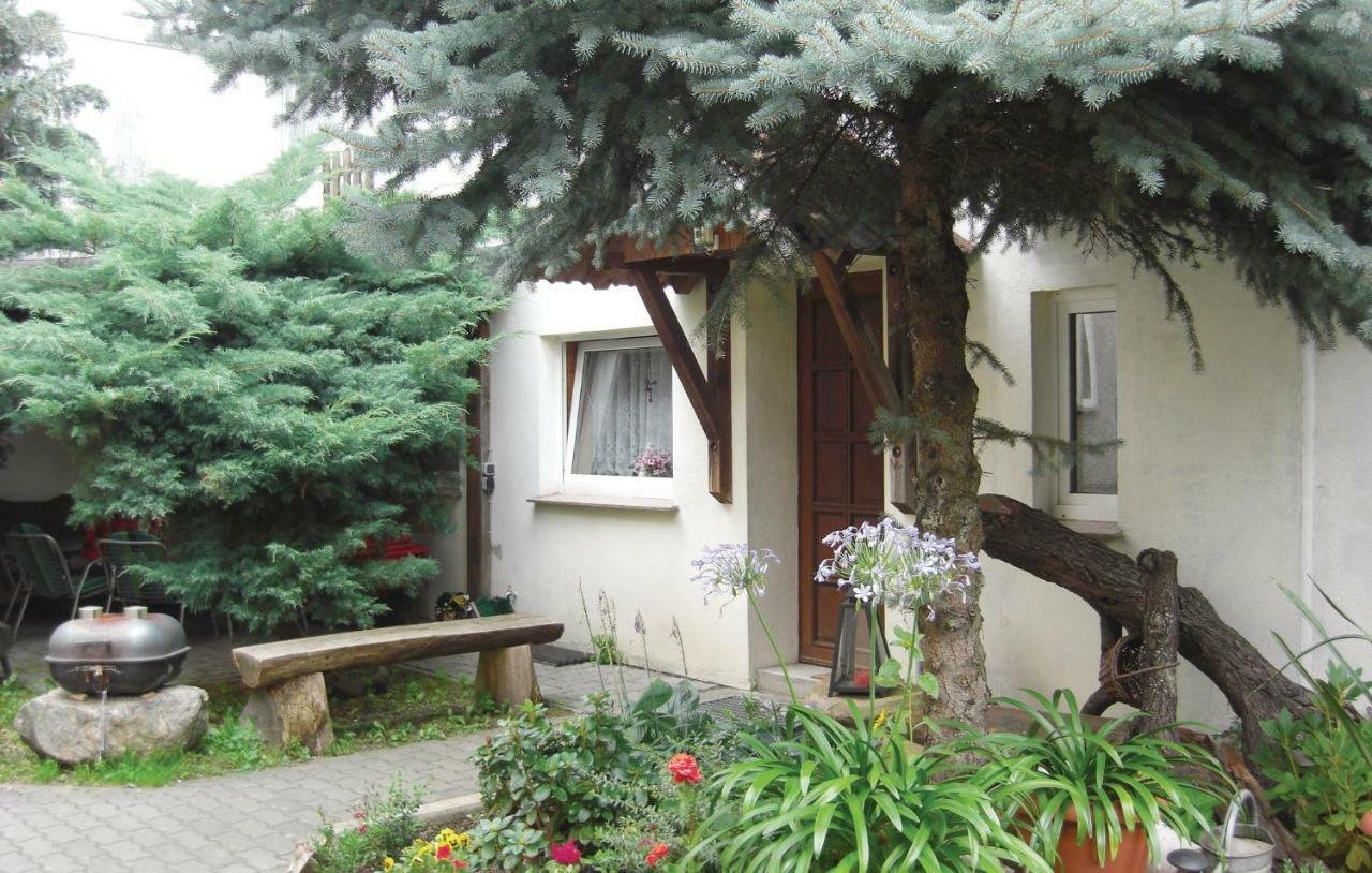 Lovely Home In Heideblick With Kitchen Langengrassau Zewnętrze zdjęcie